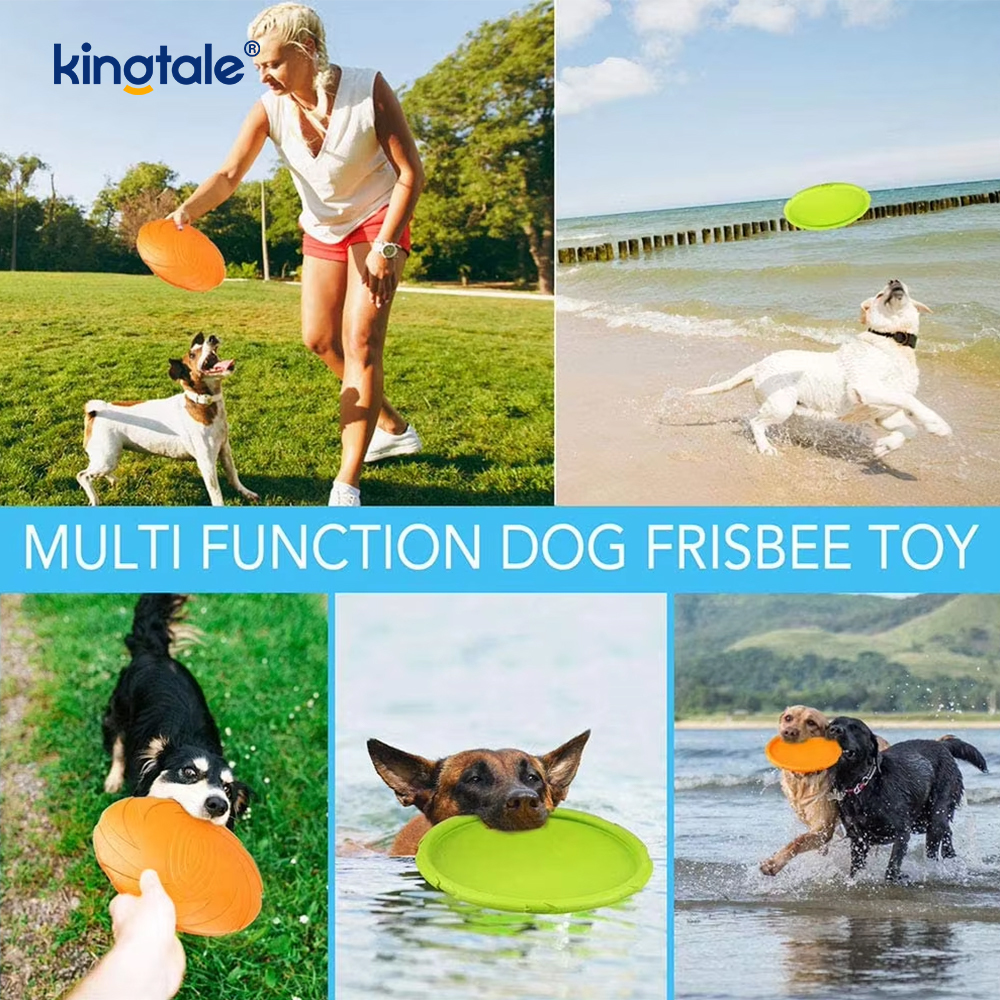 Lemmikkien frisbee