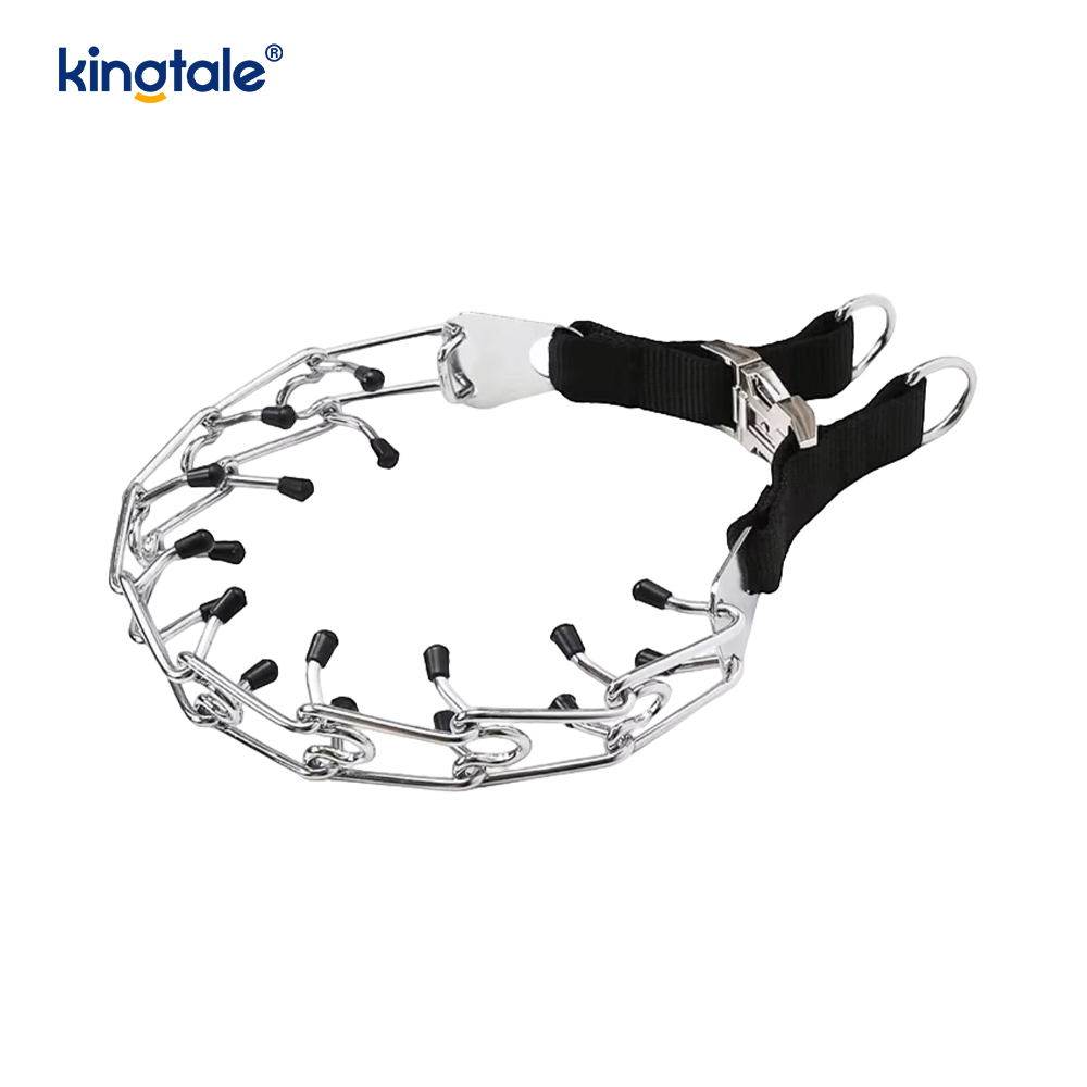 Koiran piikkipanta metallisoljella