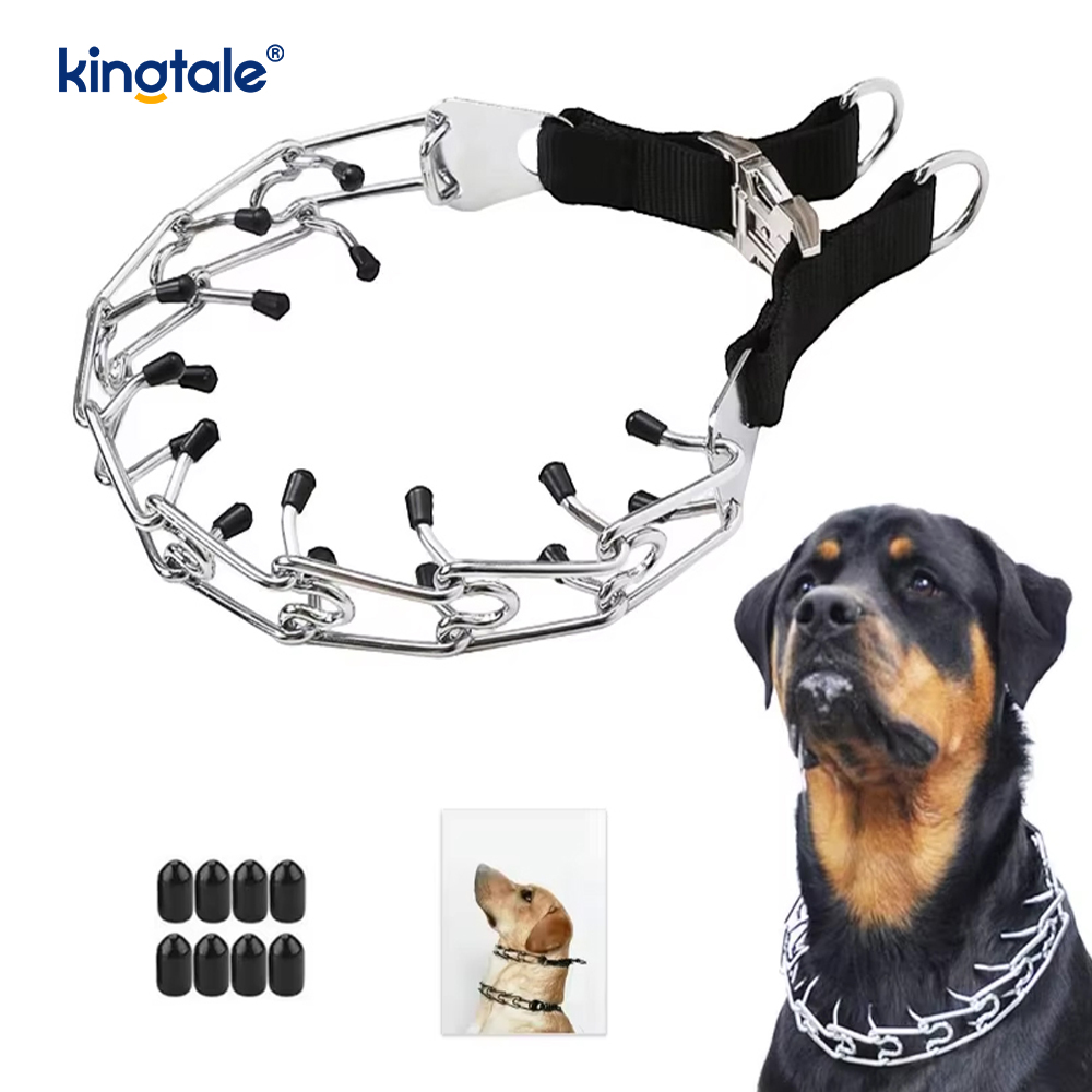 Koiran piikkipanta metallisoljella