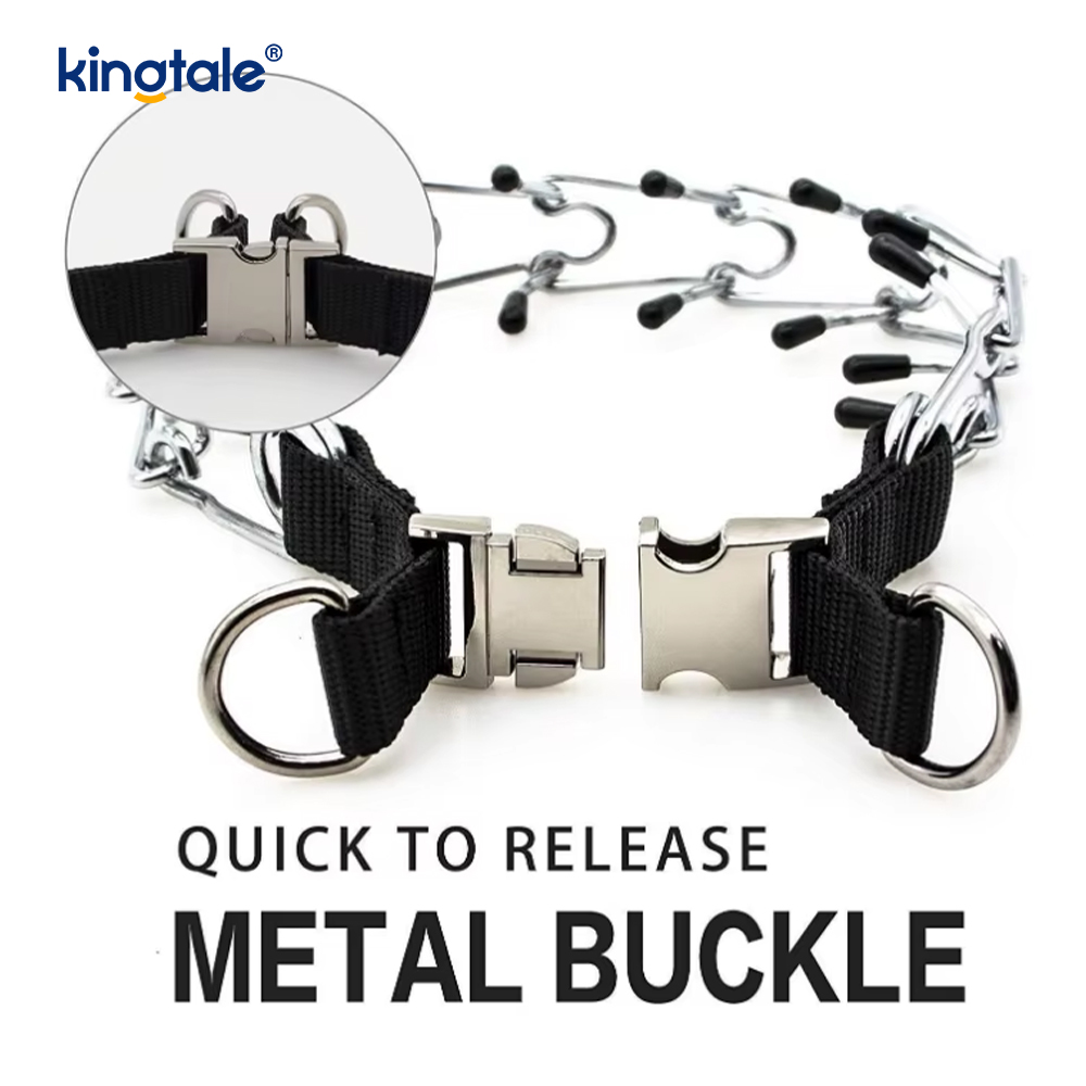 Koiran piikkipanta metallisoljella