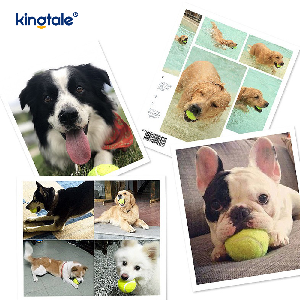 Pet Toy Tennis Kestävä ja puremisenkestävä interaktiiviseen Pet Chew Exercise -harjoitukseen
