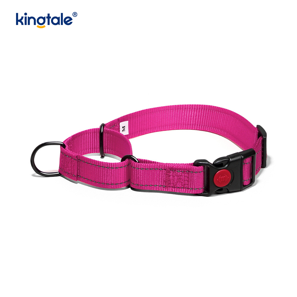 No Pull Heijastava Säädettävä Nylon Martingale -kaulapanta S M A L L -koirille
