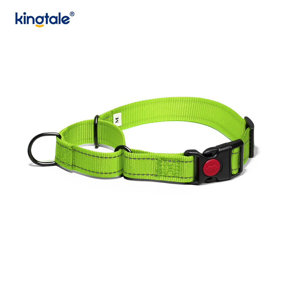 No Pull Heijastava Säädettävä Nylon Martingale -kaulapanta S M A L L -koirille