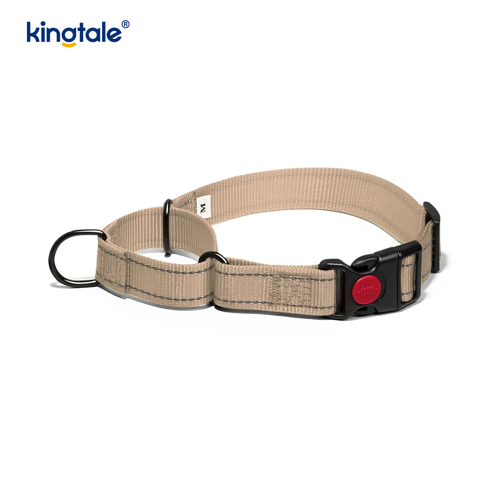 No Pull Heijastava Säädettävä Nylon Martingale -kaulapanta S M A L L -koirille