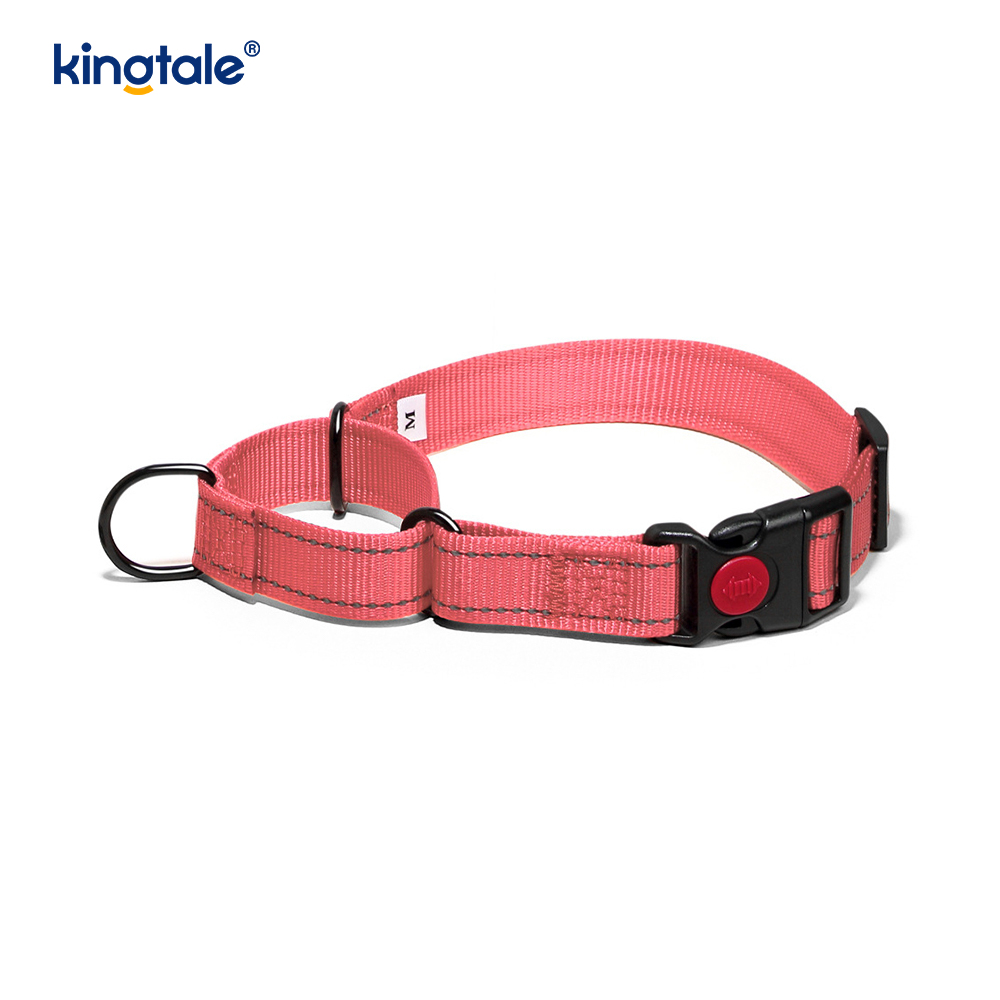 No Pull Heijastava Säädettävä Nylon Martingale -kaulapanta S M A L L -koirille