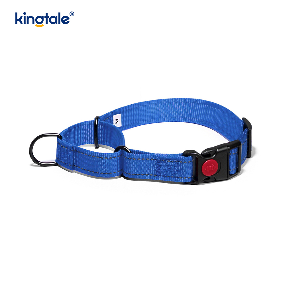 No Pull Heijastava Säädettävä Nylon Martingale -kaulapanta S M A L L -koirille