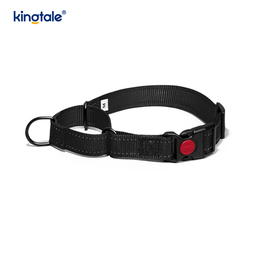 No Pull Heijastava Säädettävä Nylon Martingale -kaulapanta S M A L L -koirille