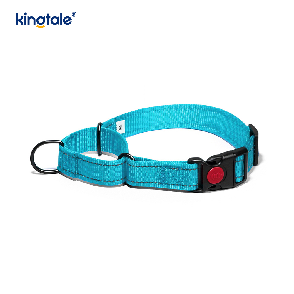 No Pull Heijastava Säädettävä Nylon Martingale -kaulapanta S M A L L -koirille