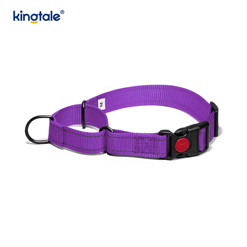 No Pull Heijastava Säädettävä Nylon Martingale -kaulapanta S M A L L -koirille