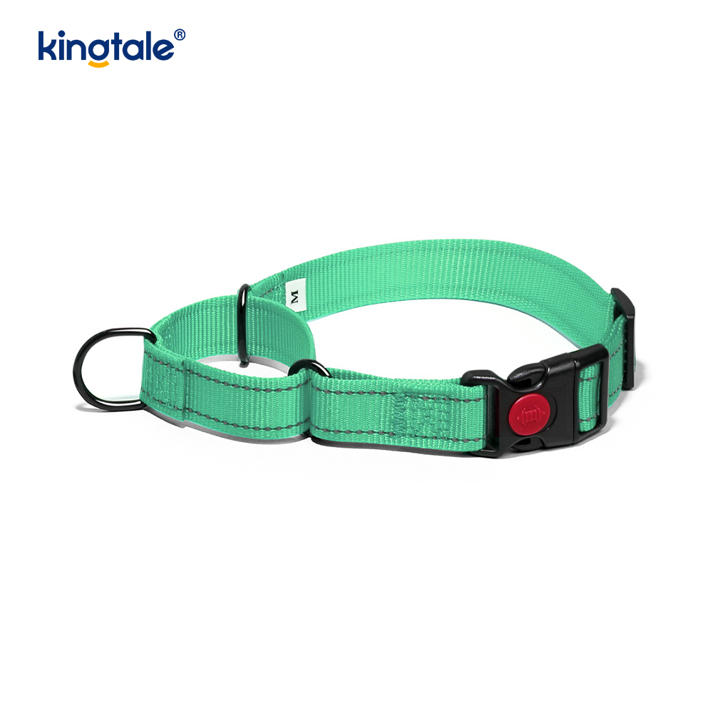 No Pull Heijastava Säädettävä Nylon Martingale -kaulapanta S M A L L -koirille