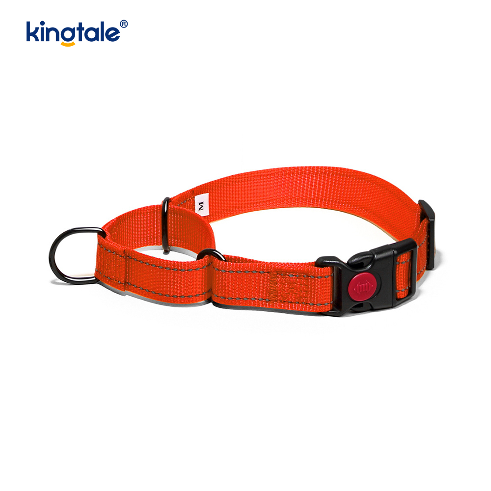 No Pull Heijastava Säädettävä Nylon Martingale -kaulapanta S M A L L -koirille