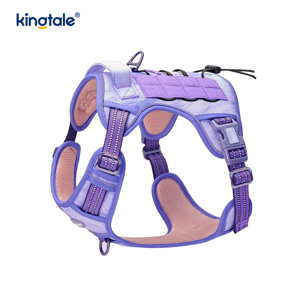 Solid No Pull Nylon Heavy Duty Dog Belt -liivi harjoitusvaljaat Rinta