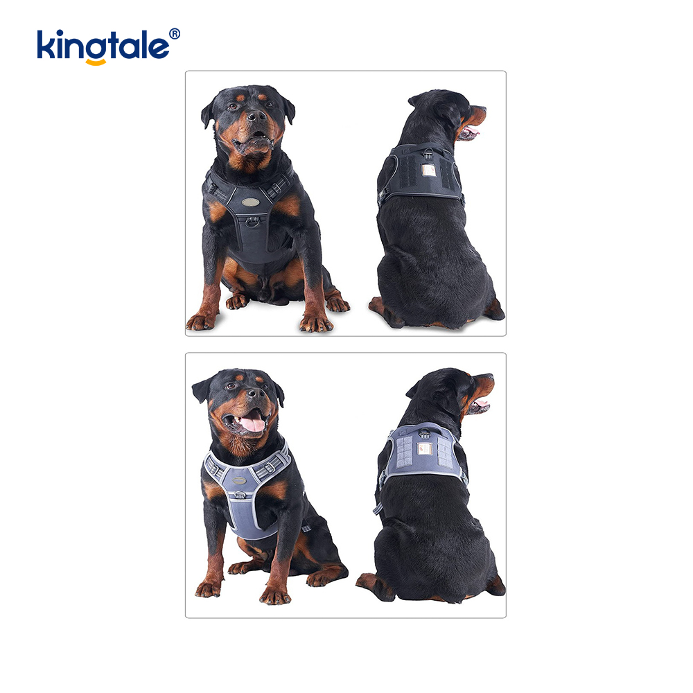 Solid No Pull Nylon Heavy Duty Dog Belt -liivi harjoitusvaljaat Rinta