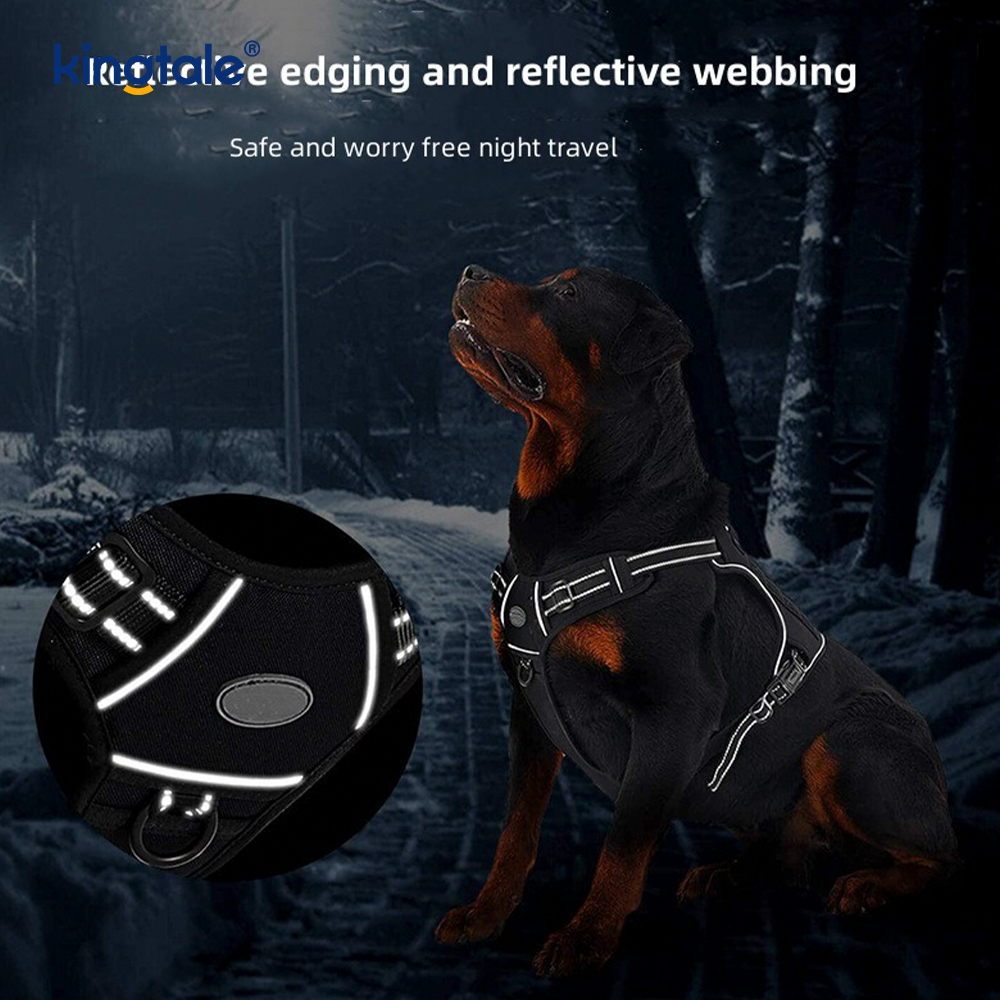 Solid No Pull Nylon Heavy Duty Dog Belt -liivi harjoitusvaljaat Rinta