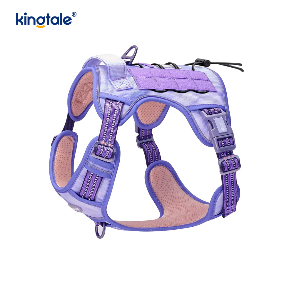 Solid No Pull Nylon Heavy Duty Dog Belt -liivi harjoitusvaljaat Rinta