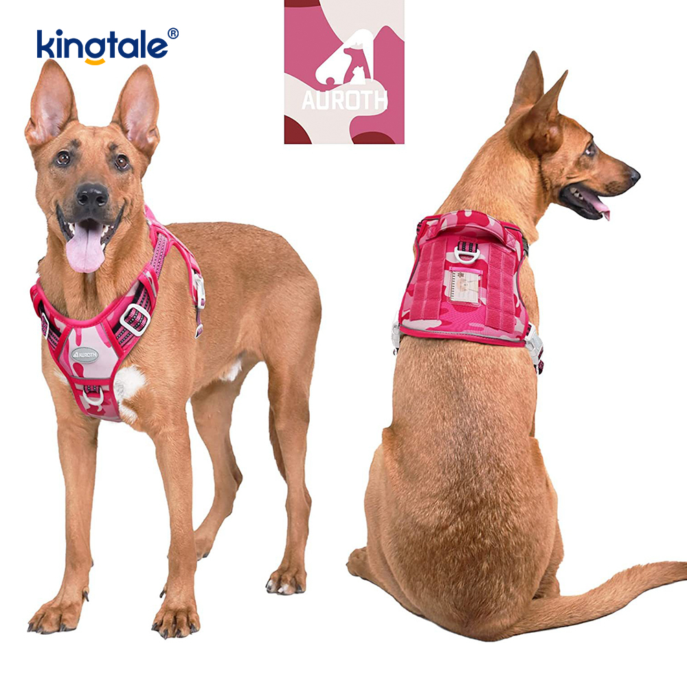 Solid No Pull Nylon Heavy Duty Dog Belt -liivi harjoitusvaljaat Rinta