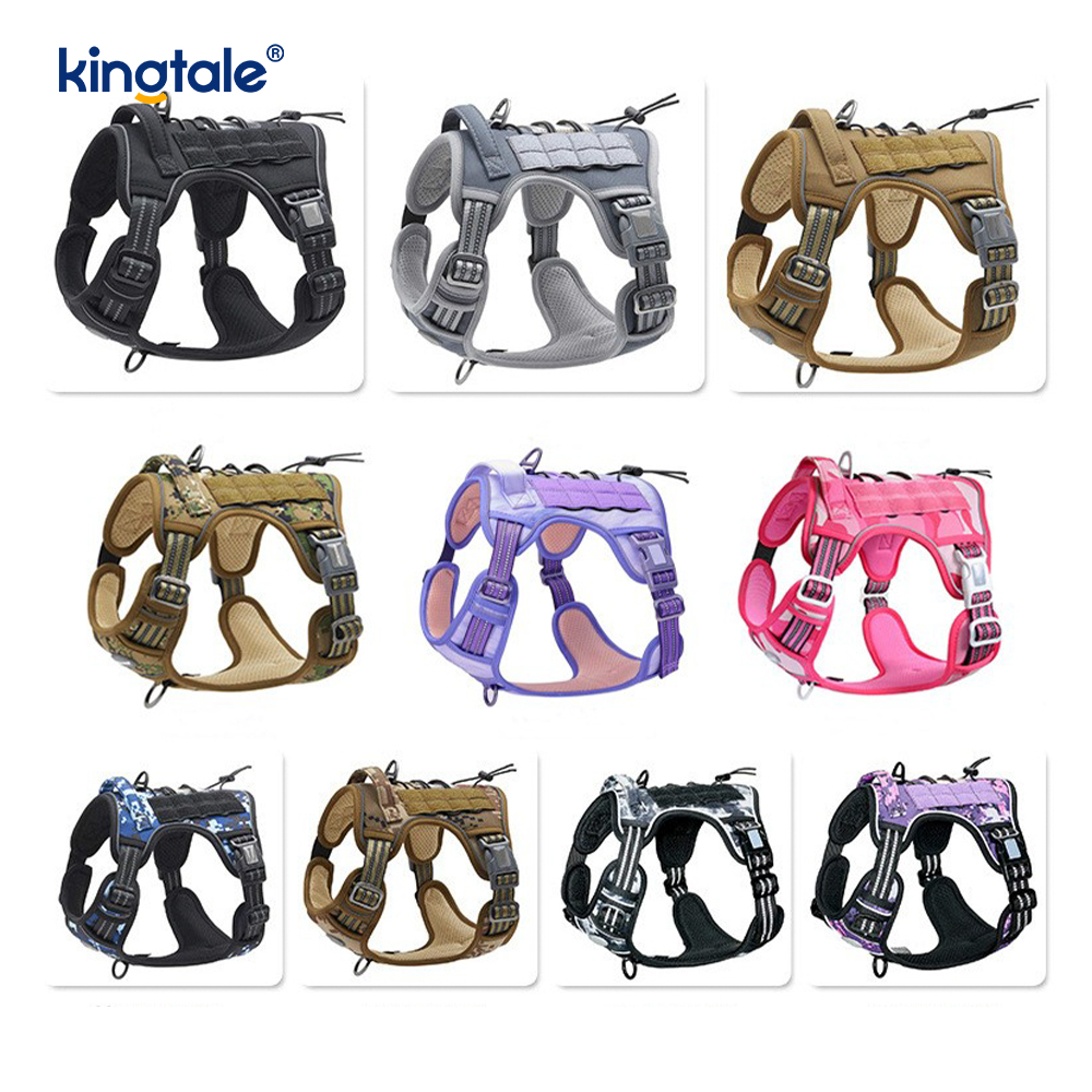 Solid No Pull Nylon Heavy Duty Dog Belt -liivi harjoitusvaljaat Rinta