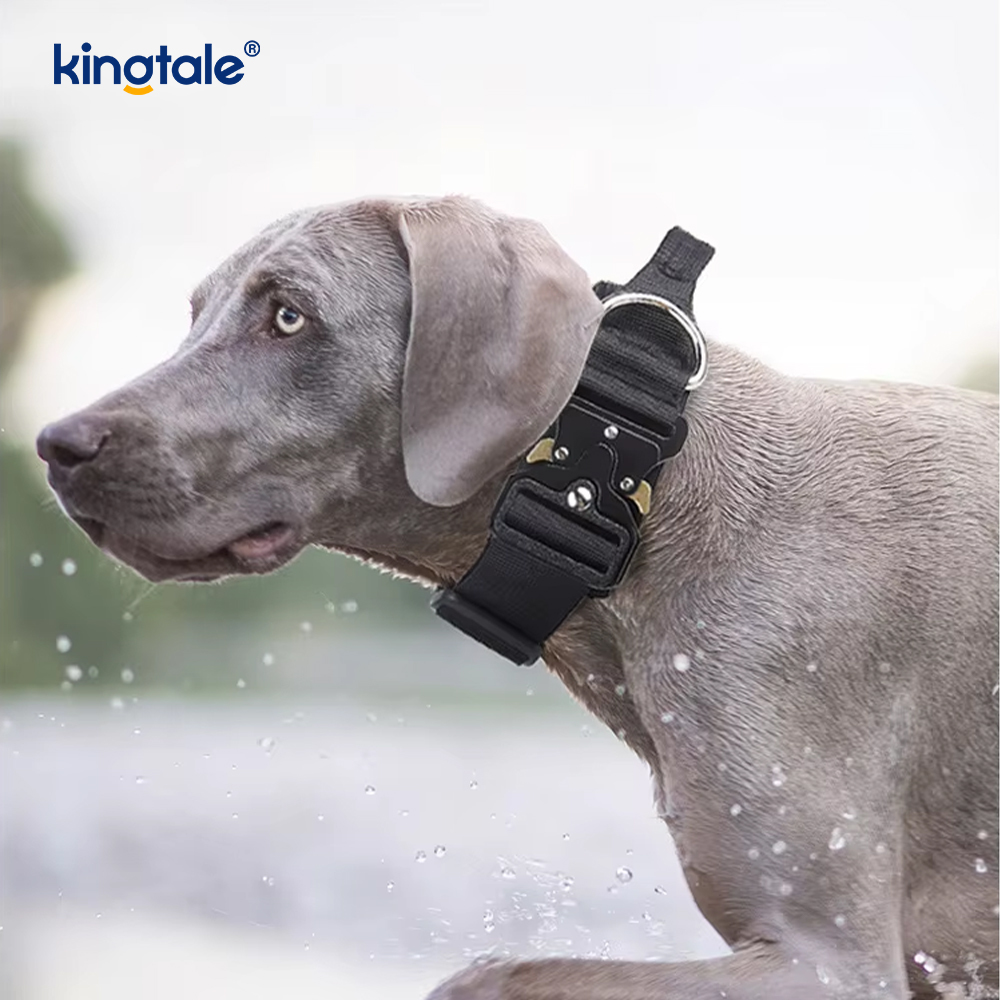 Heavy Duty Tactical Dog -panta talutushihnasarja suurille koirille