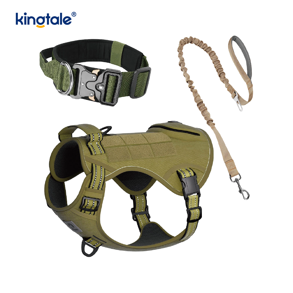 Training Nylon No Pull Dog Panta talutushihnasarja ja Control
