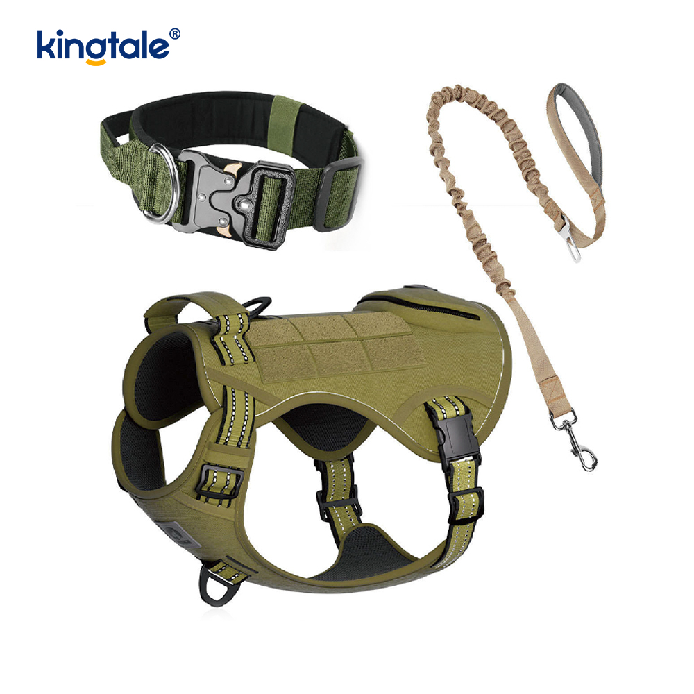 Training Nylon No Pull Dog Panta talutushihnasarja ja Control