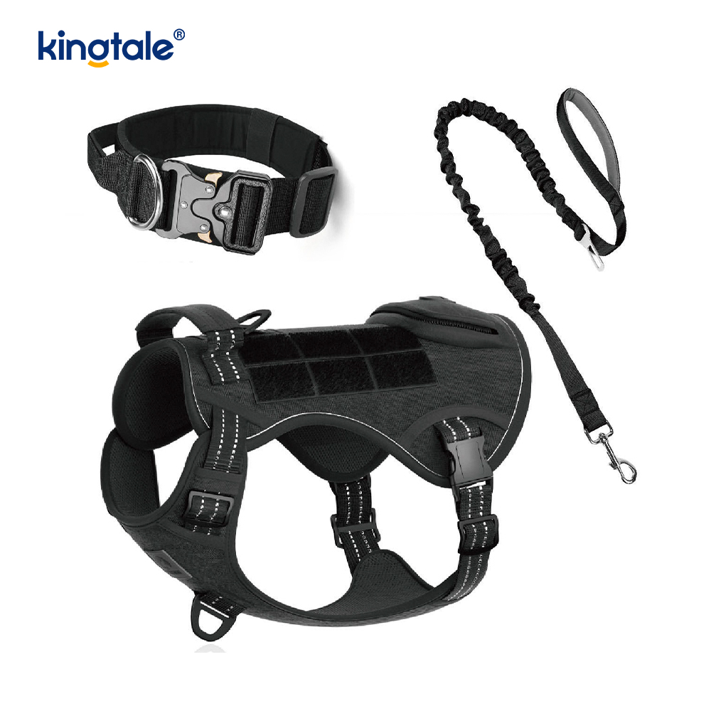 Training Nylon No Pull Dog Panta talutushihnasarja ja Control