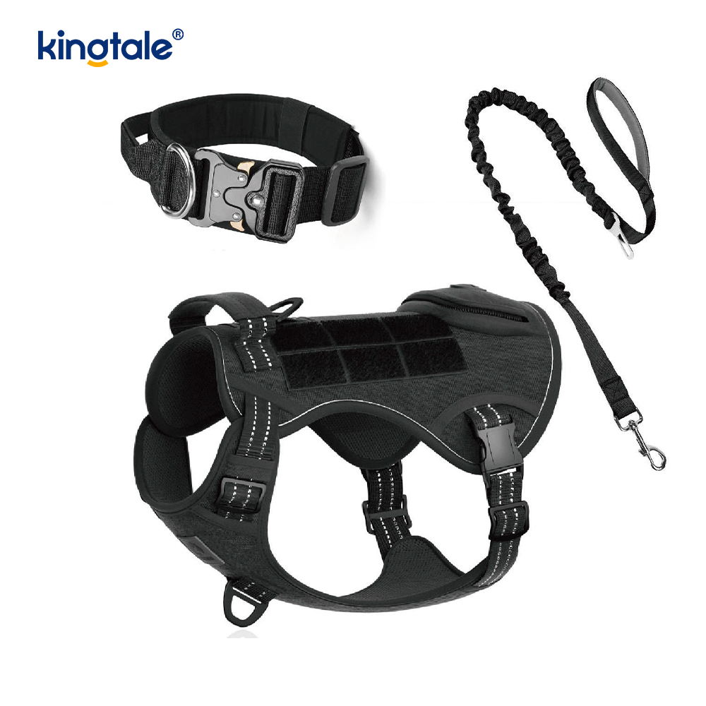 Training Nylon No Pull Dog Panta talutushihnasarja ja Control