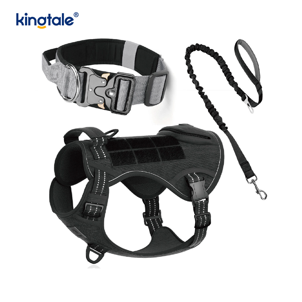 Training Nylon No Pull Dog Panta talutushihnasarja ja Control