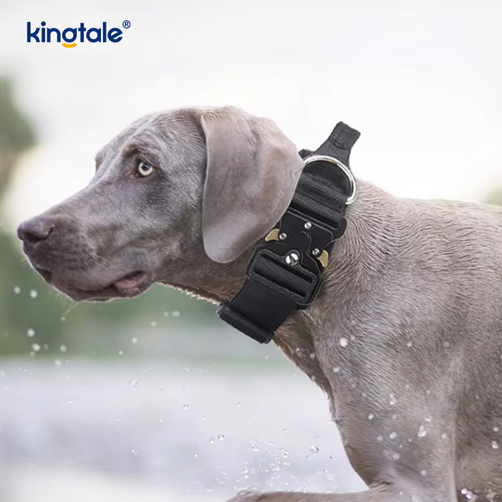 Training Nylon No Pull Dog Panta talutushihnasarja ja Control