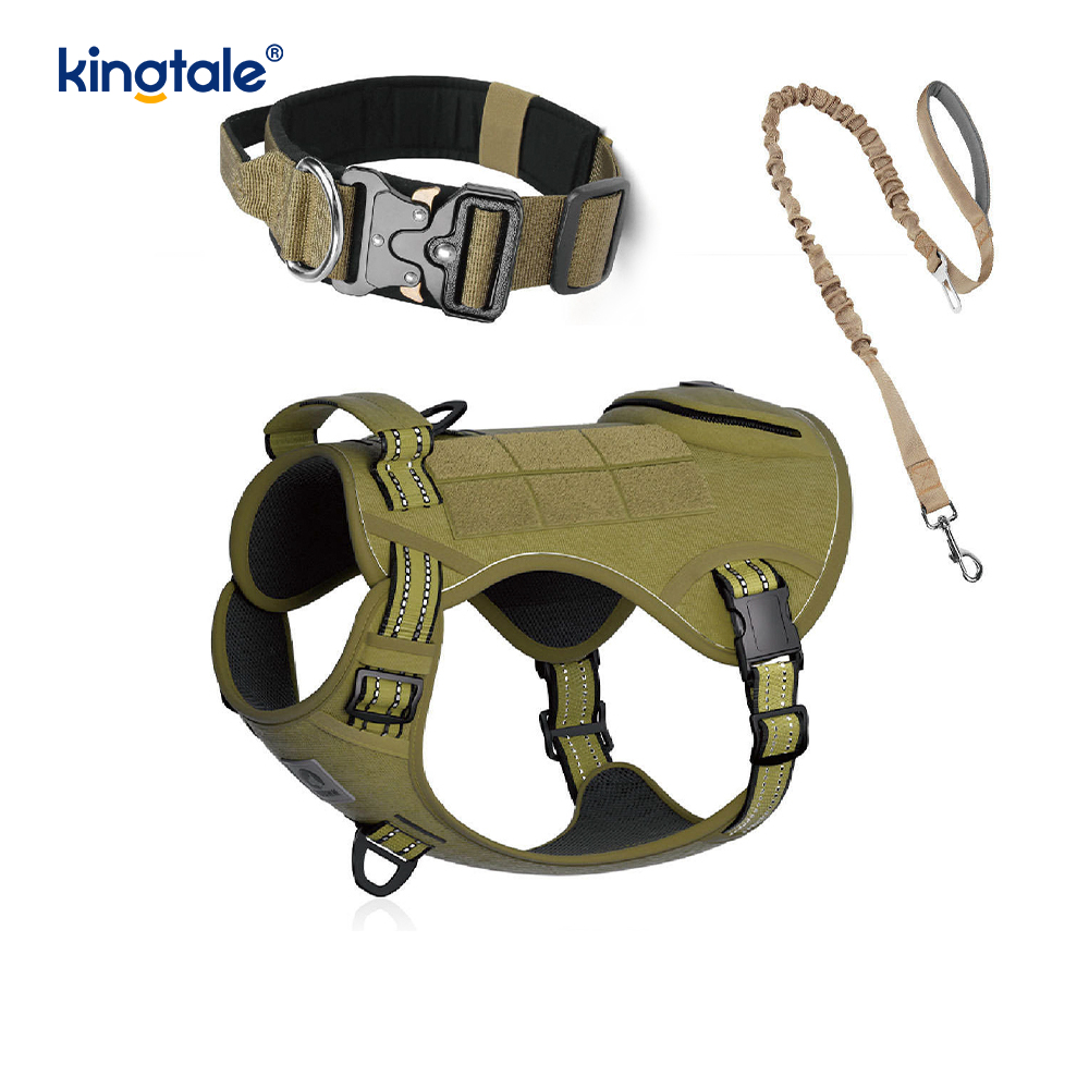Training Nylon No Pull Dog Panta talutushihnasarja ja Control