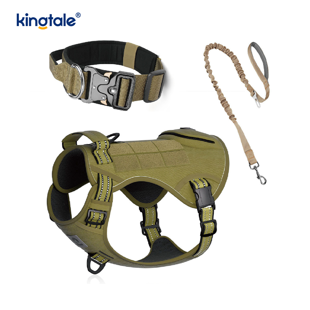 Training Nylon No Pull Dog Panta talutushihnasarja ja Control