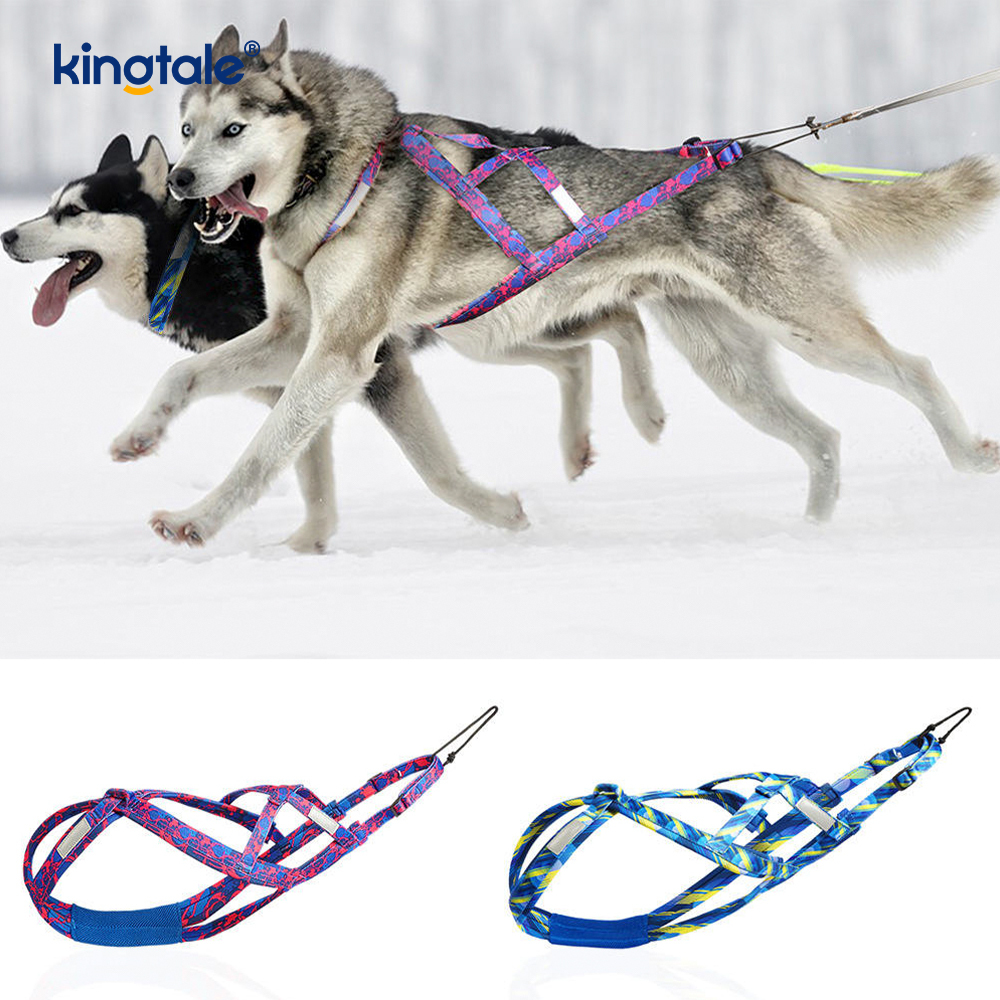 Dog Pulling Husky Mushing Valjaat X Takavaljaat koirille